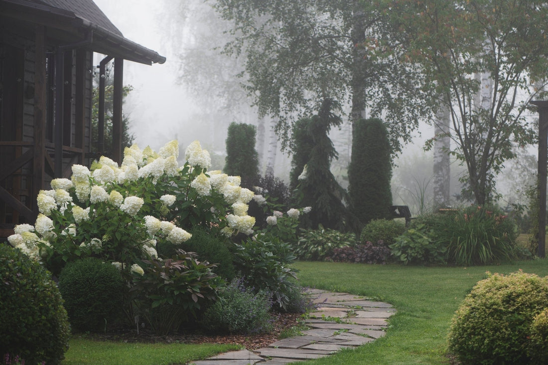 The Gardener’s Secret: Why September is Better Than June - Georgina Garden Centre