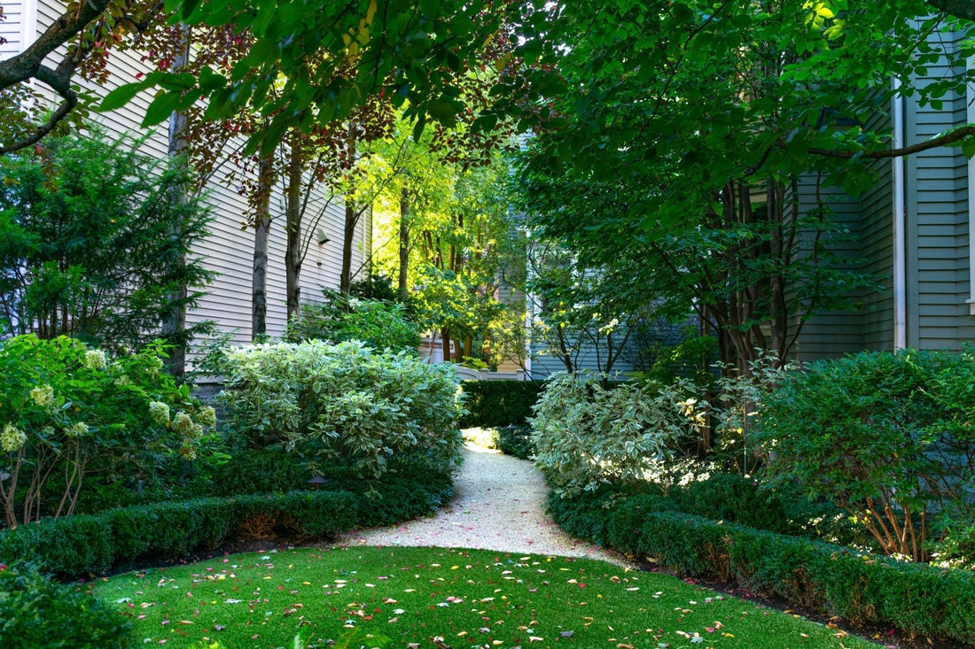 Planting Services - Georgina Garden Centre