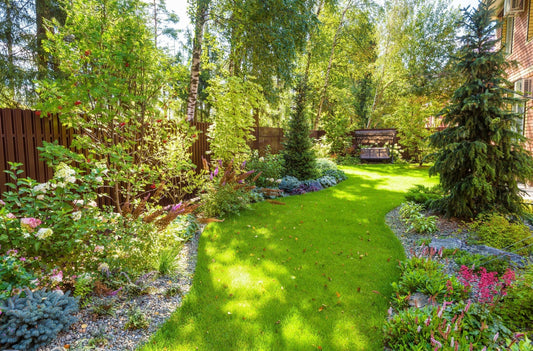 Roots, Shoots & Woody Truths: What Type of Plant Are You Growing? - Georgina Garden Centre