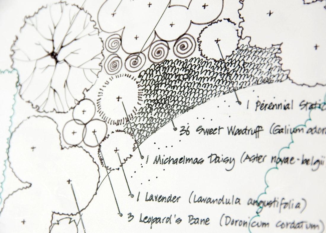 Landscape Design - Georgina Garden Centre