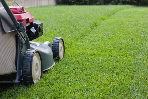 Landscape Maintenance - Georgina Garden Centre