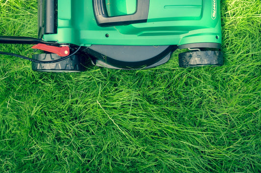 5 Common Lawn Care Mistakes - and How to Fix Them - Georgina Garden Centre