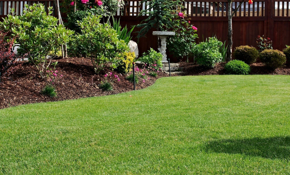 10+ Tips for Better Mowing - Georgina Garden Centre