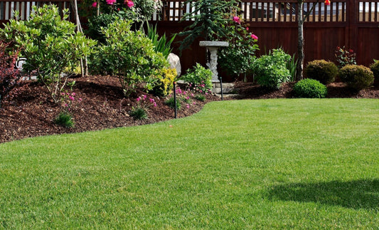 10+ Tips for Better Mowing - Georgina Garden Centre