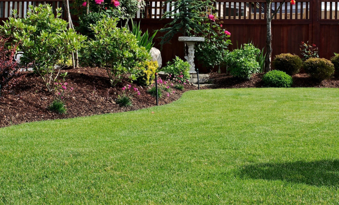 10+ Tips for Better Mowing - Georgina Garden Centre