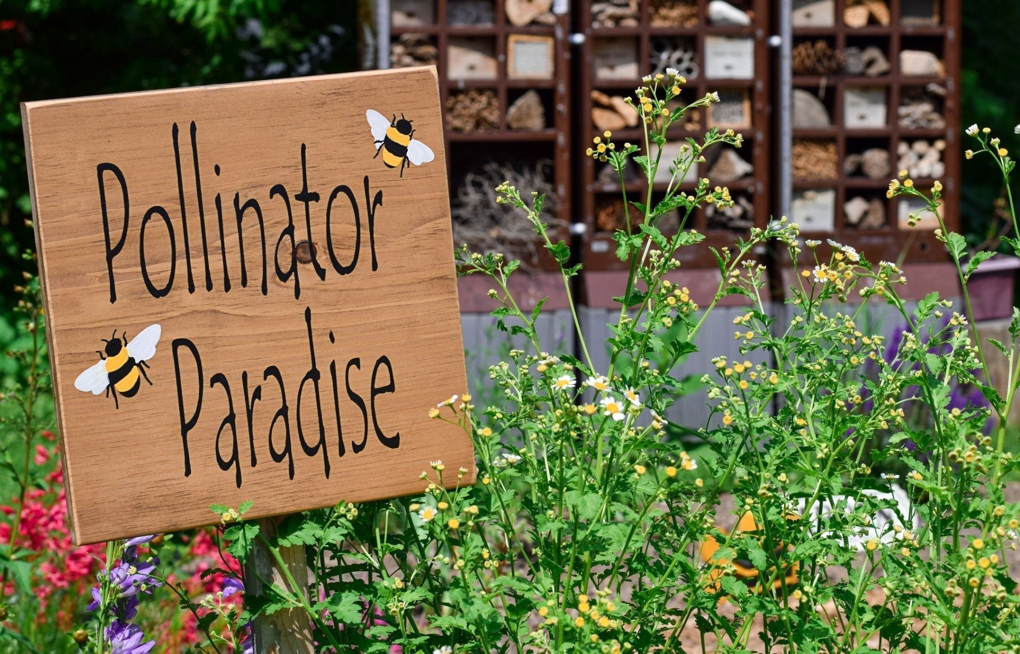 Creating a Pollinator & Native Plant Garden – Georgina Garden Centre