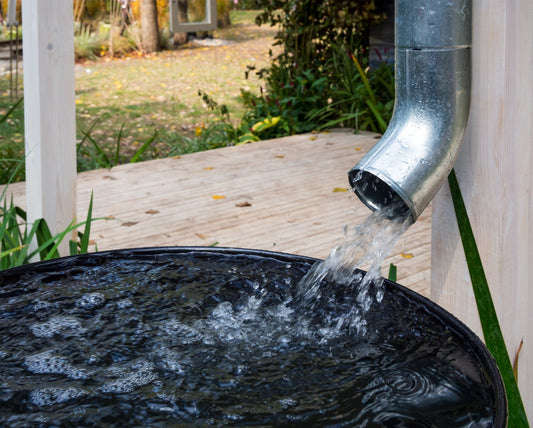 Rain Gardening: Making Rain Work for You - Georgina Garden Centre