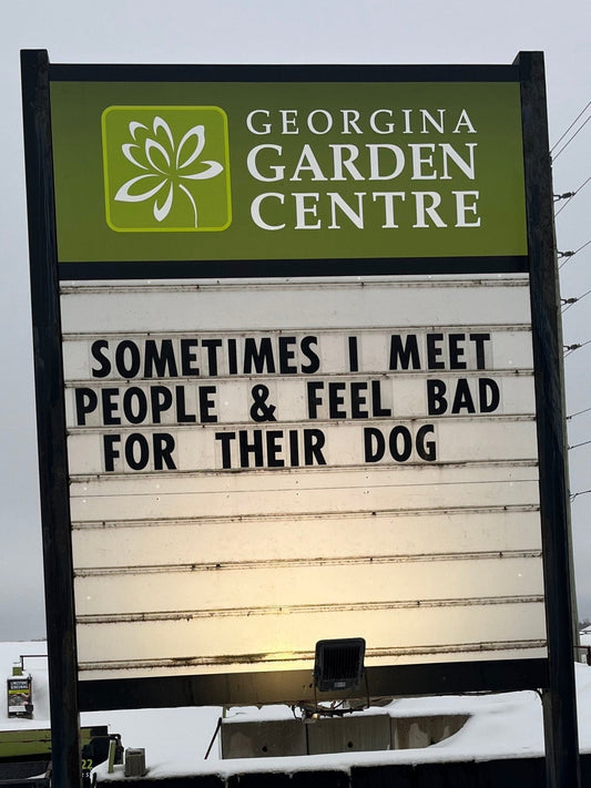 Our Road Sign Went Viral Again (And We Didn’t Plan It) - Georgina Garden Centre