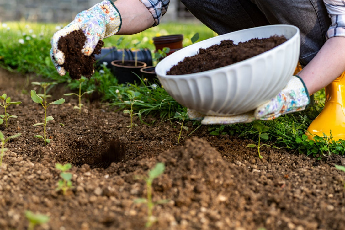 Soil vs. Dirt: The Dirty Truth About What Your Garden Really Needs - Georgina Garden Centre