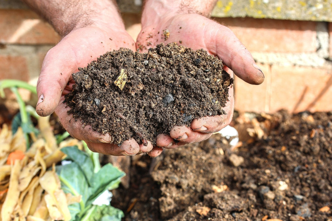 How to Improve Bad Soil - Georgina Garden Centre