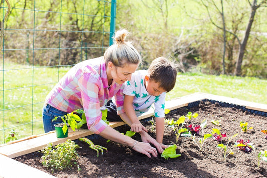 A Vegetable Gardening Masterclass Part 5: Sow, Grow, Harvest - Georgina Garden Centre