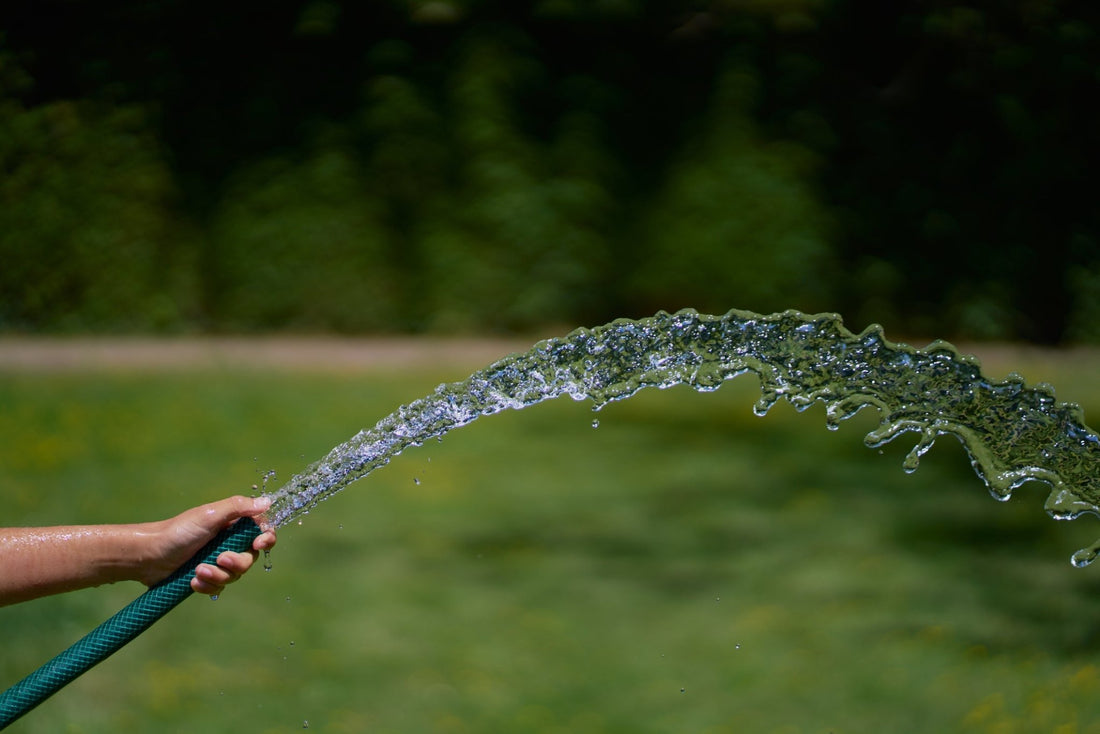 Watering Your Garden in the Summer: A Fun Guide to Keeping Your Plants Alive - Georgina Garden Centre