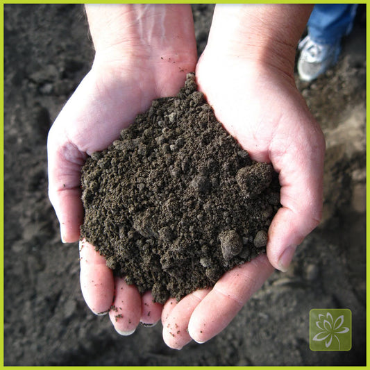 Top Soil Bulk $70.00/yd + del. - Georgina Garden Centre