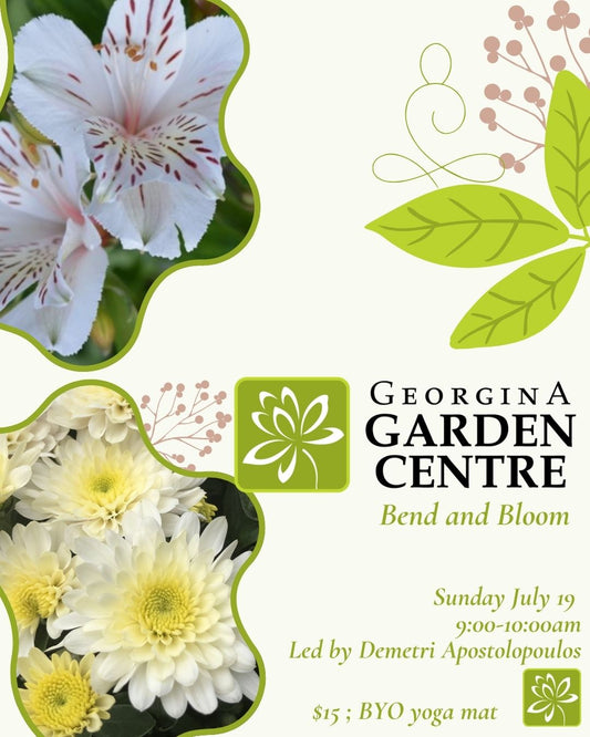 Bend & Bloom - Yoga in the Greenhouse - Georgina Garden Centre