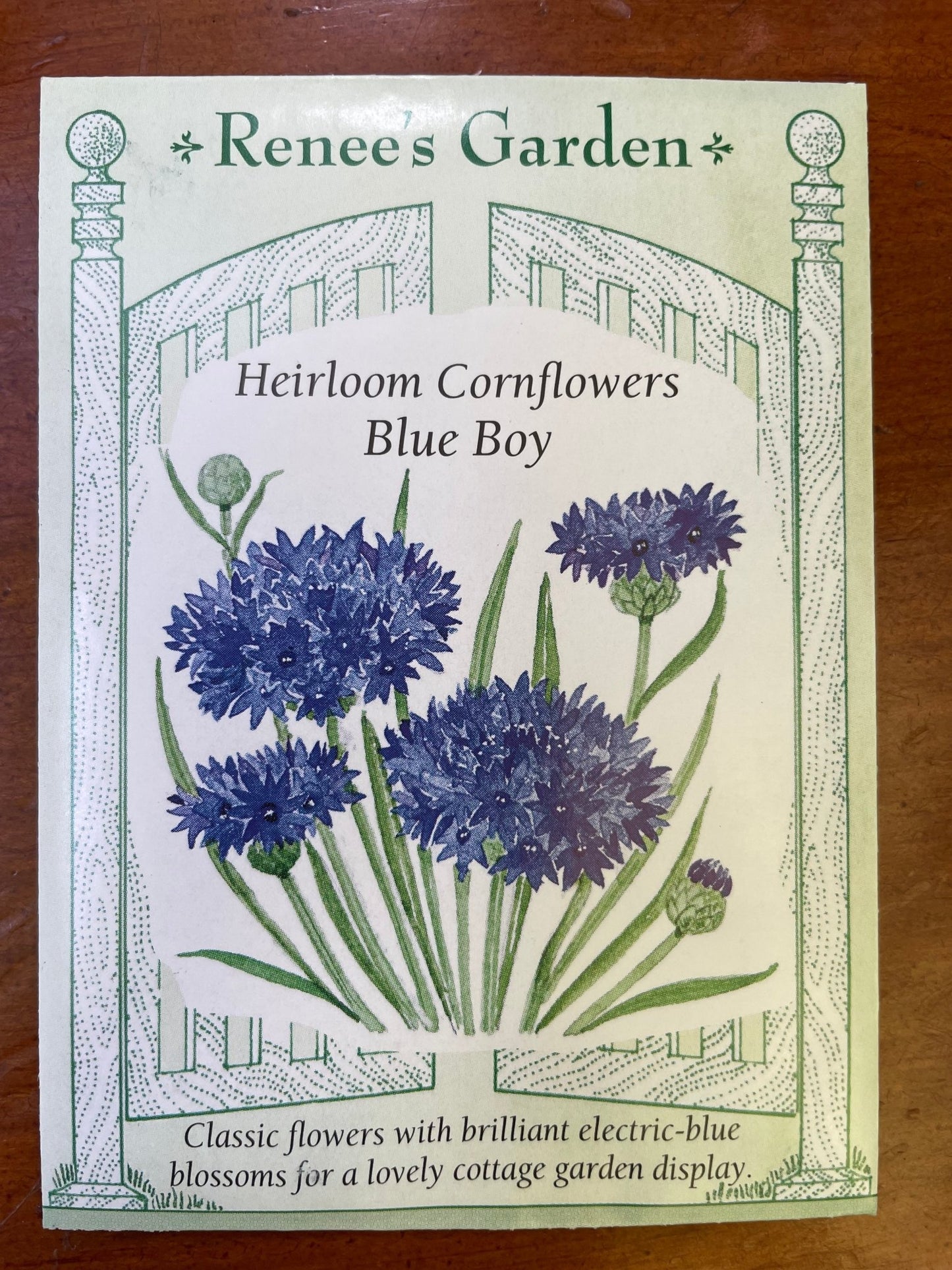 Cornflower Blue Boy Seed - Georgina Garden Centre