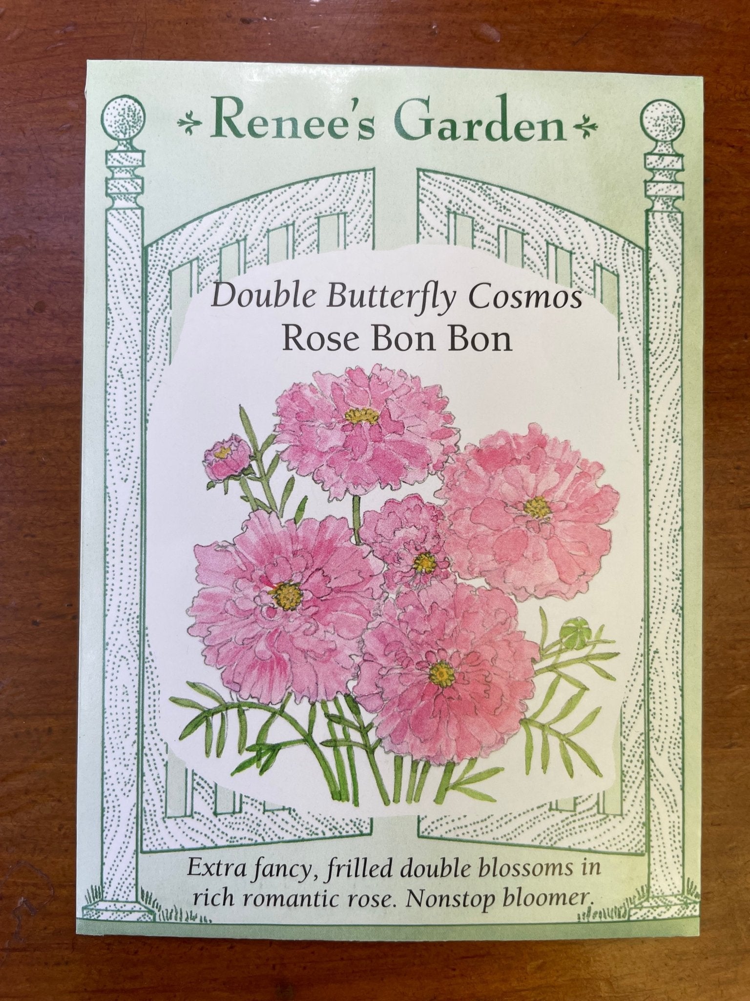 Cosmos Rose Bon Bon - Georgina Garden Centre