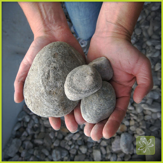 River Rock Large 3-5" Bulk - Georgina Garden Centre