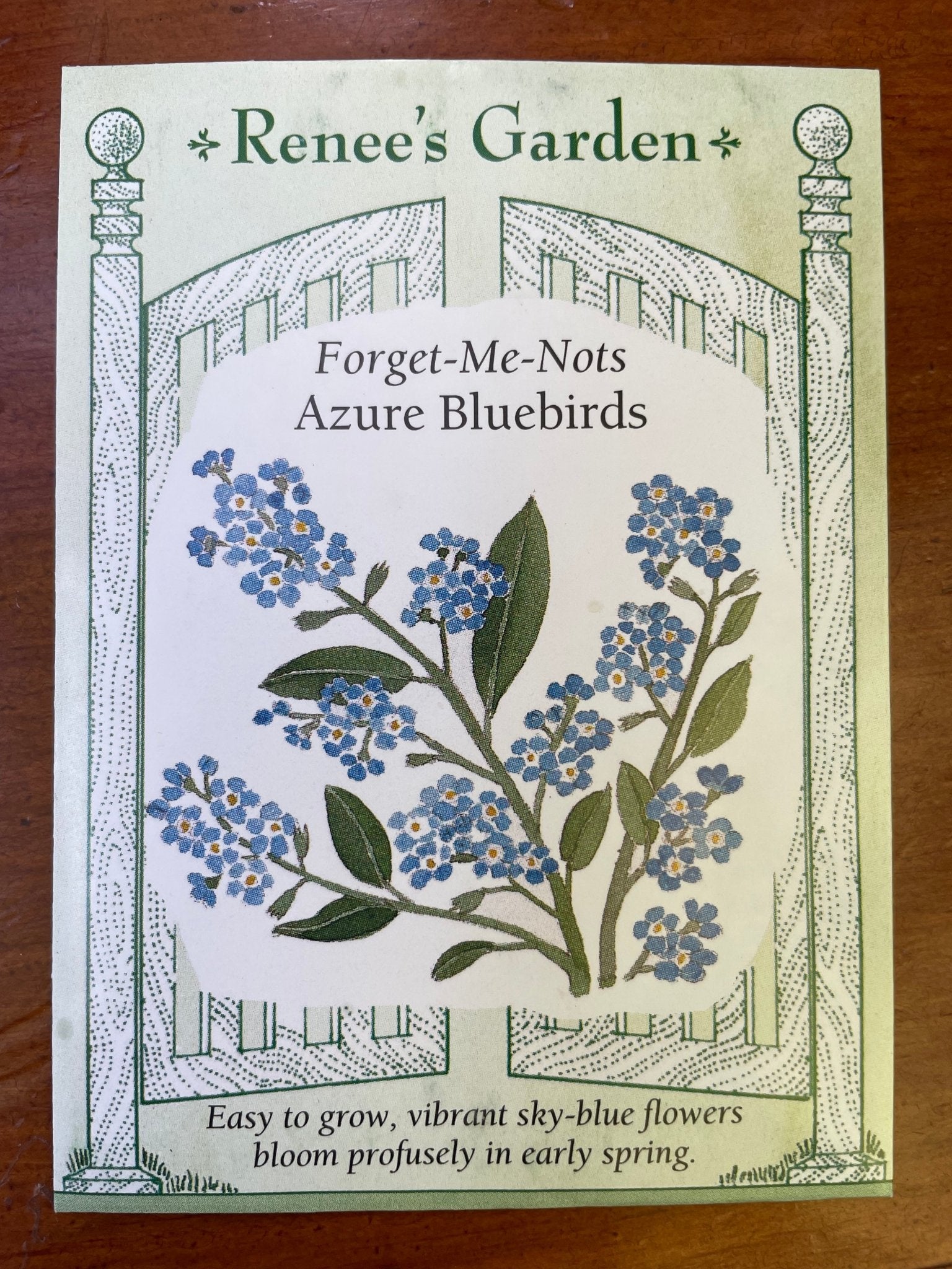 Forget-Me-Nots Azure Bluebirds Seed - Georgina Garden Centre