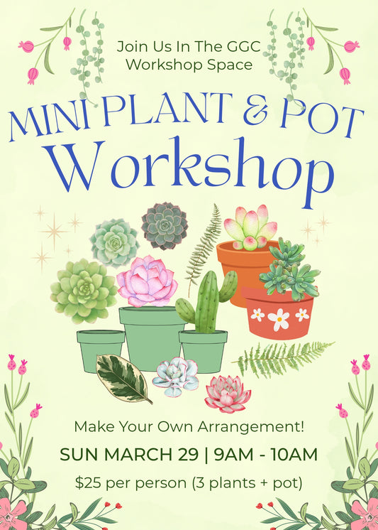 Mini Plants & Pot Workshop - Georgina Garden Centre