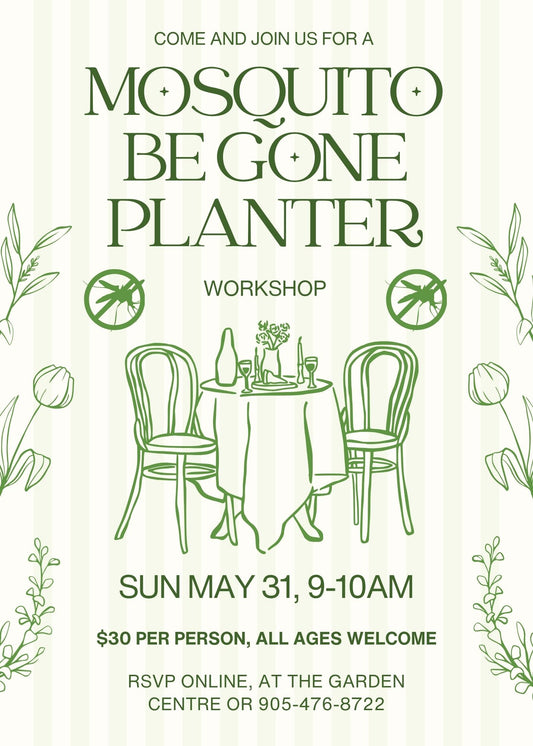 Mosquito Be - Gone Workshop - Georgina Garden Centre