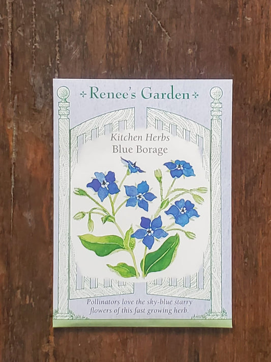 Borage Blue Seed - Georgina Garden Centre