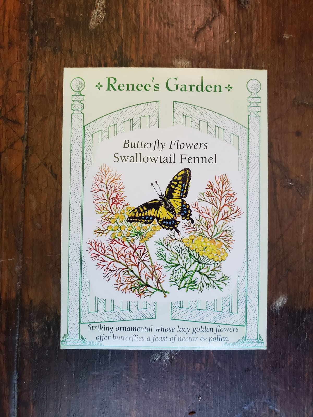 Fennel Swallowtail Seed - Georgina Garden Centre