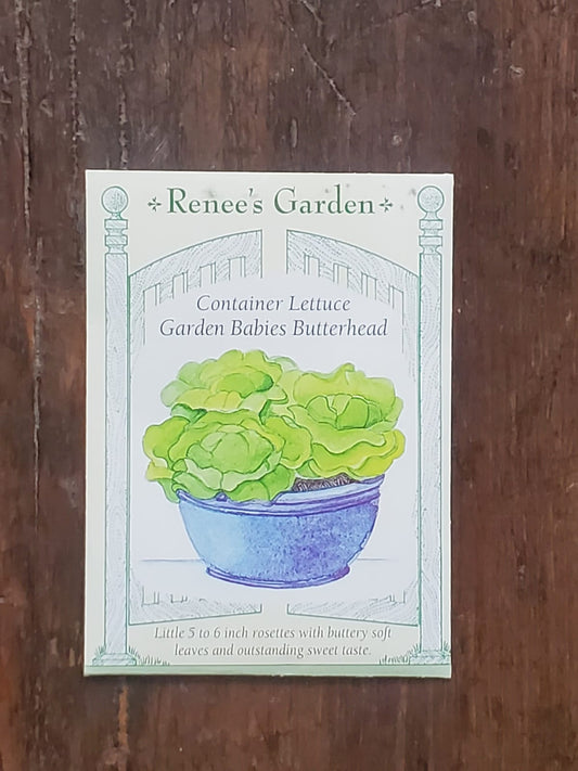 Lettuce Butterhead Garden Babies Container Seed - Georgina Garden Centre