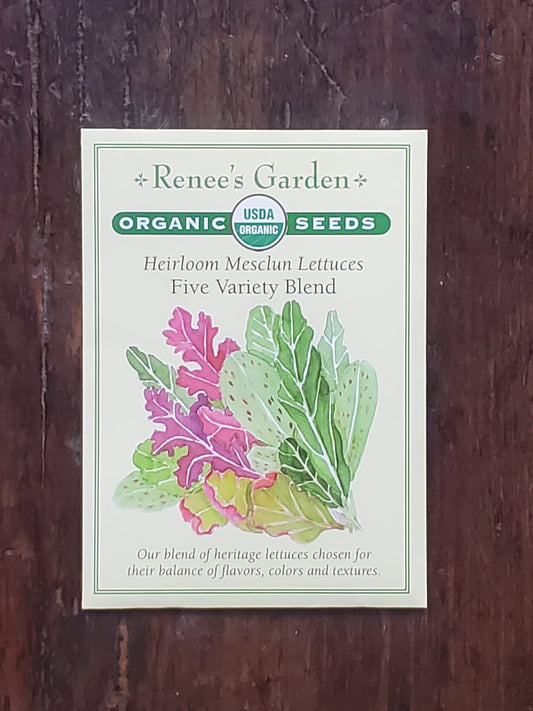 Lettuce Mesclun FIve Variety Blend Organic Seed - Georgina Garden Centre