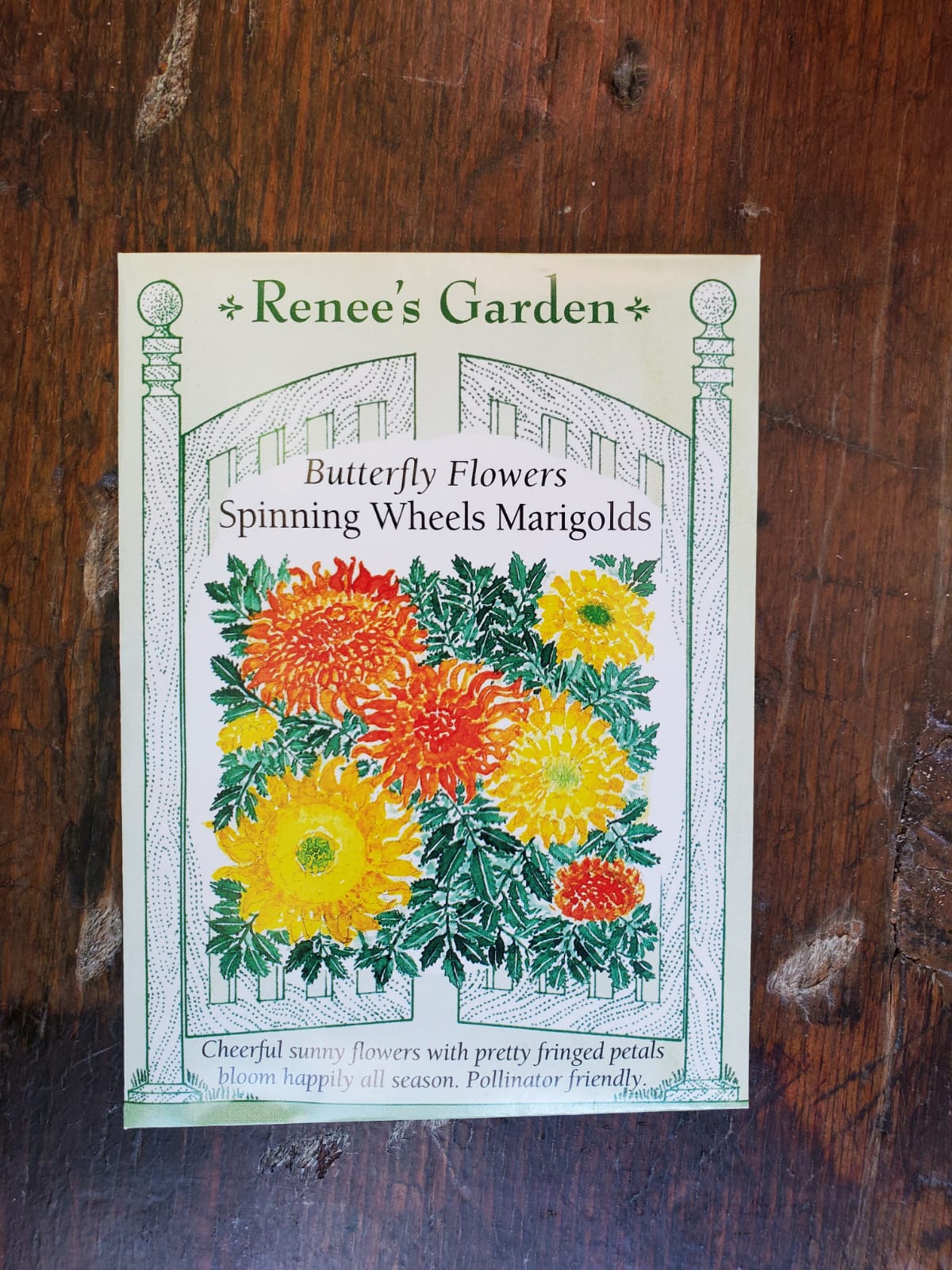 Marigolds Spinning Wheels Seeds - Georgina Garden Centre