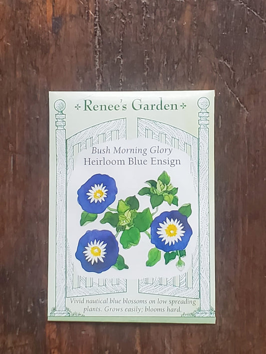 Morning Glory Blue Ensign Seed - Georgina Garden Centre