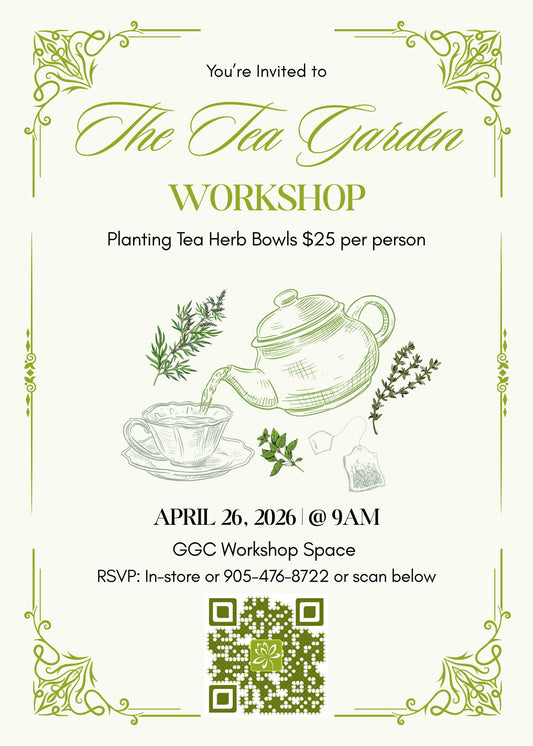 Tea Garden Workshop - Georgina Garden Centre