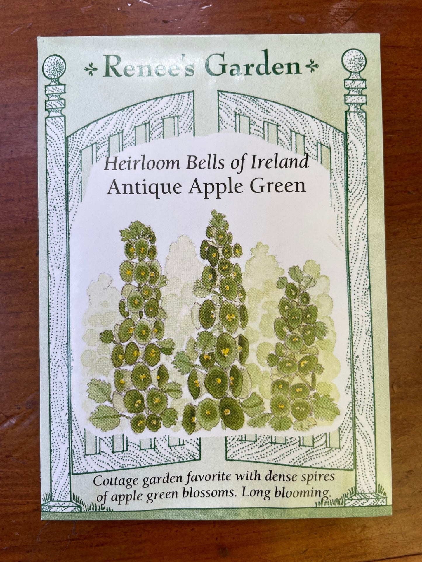 Bells of Ireland Seed - Georgina Garden Centre