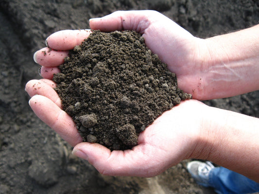 Top Soil Bulk $70.00/yd + del. - Georgina Garden Centre
