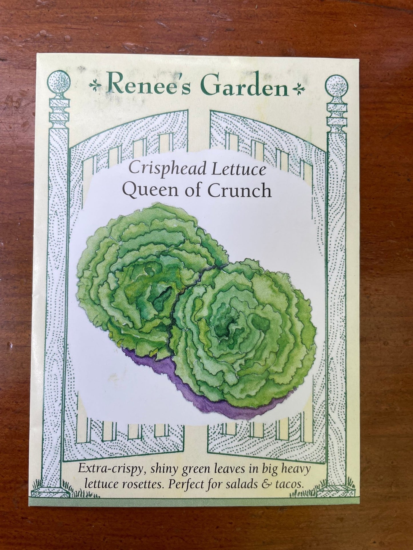 Lettuce Queen of Crunch Seed - Georgina Garden Centre