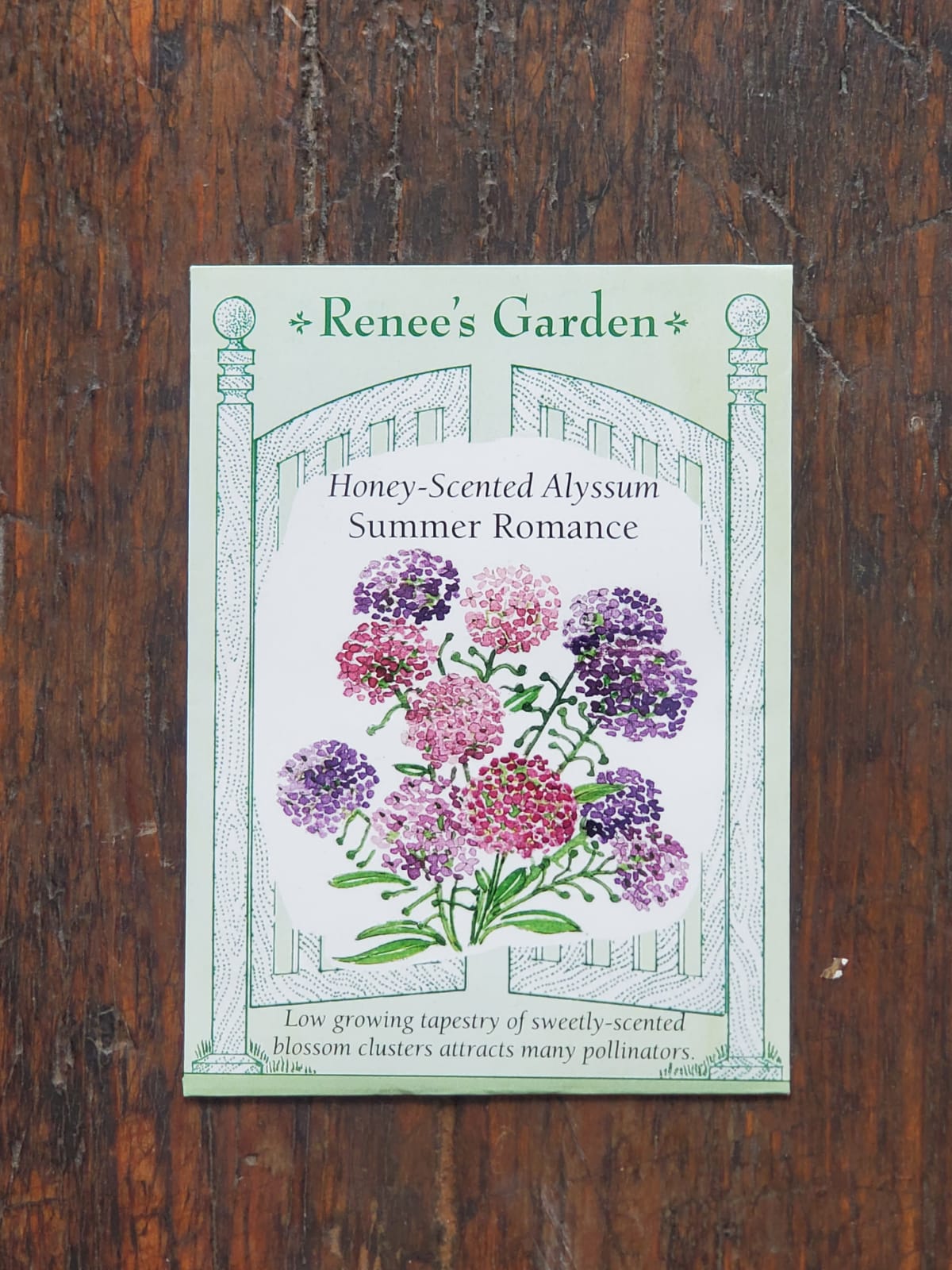 Alyssum Summer Romance Seed - Georgina Garden Centre