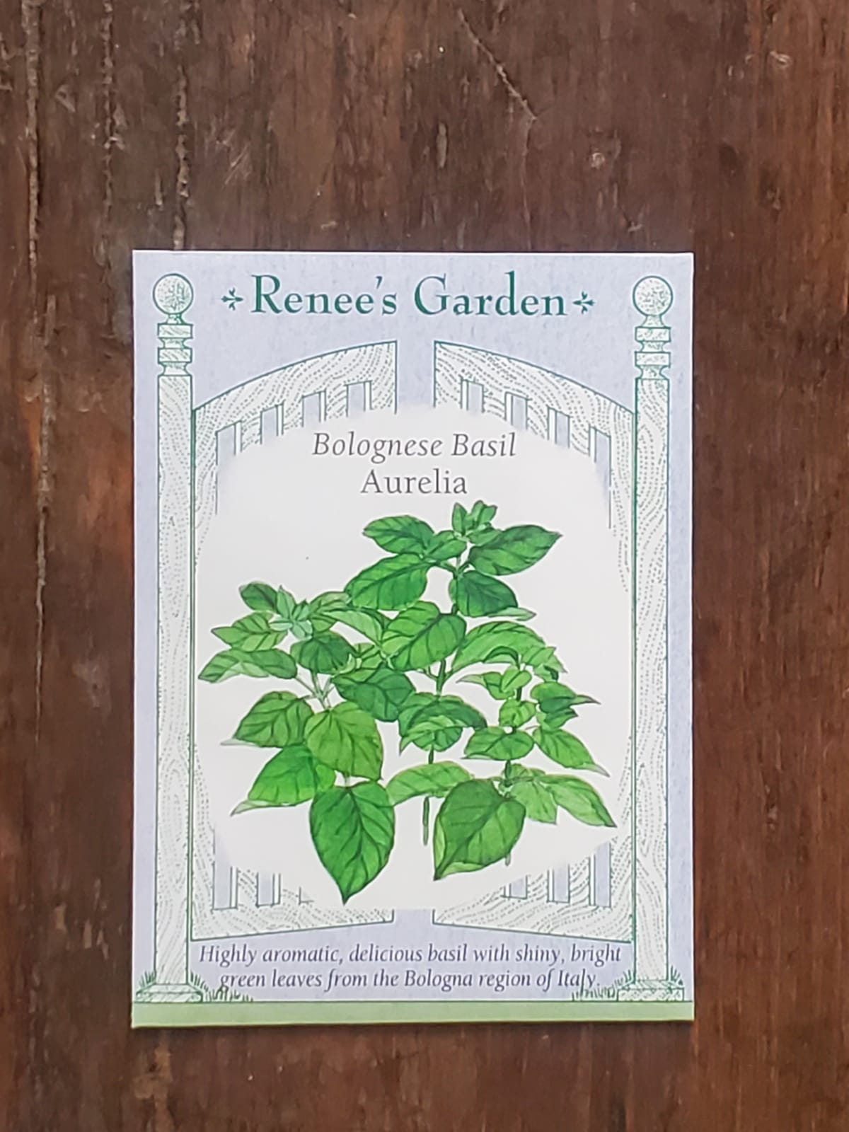 Basil Aurelia Bolognese Seed - Georgina Garden Centre