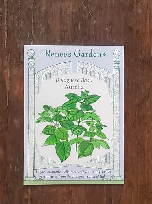 Basil Aurelia Bolognese Seed - Georgina Garden Centre