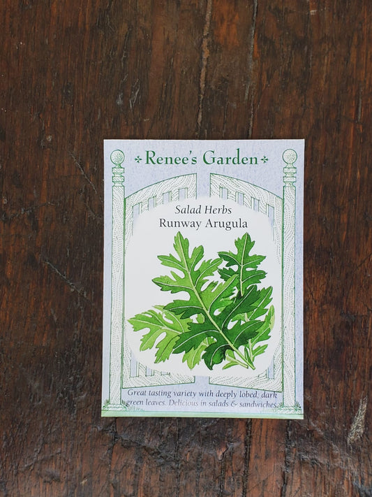 Arugula Runway Seed - Georgina Garden Centre