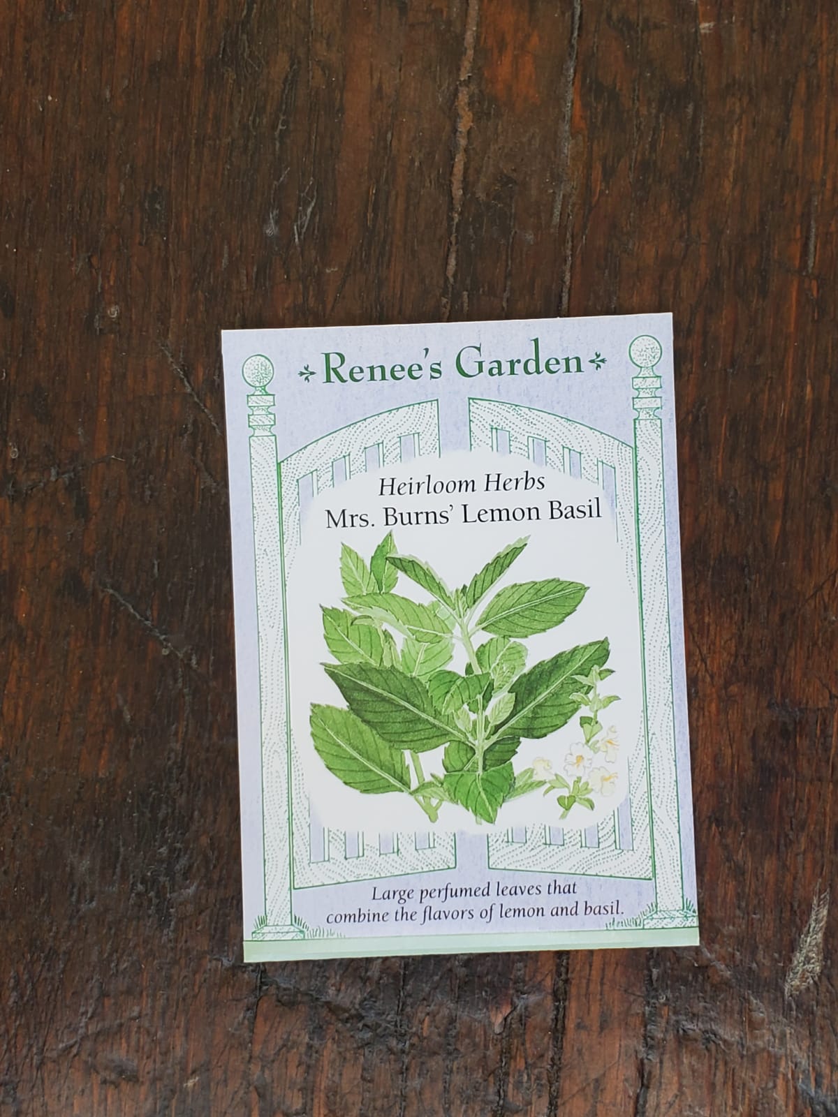 Basil Mrs Burns Lemon Seed - Georgina Garden Centre