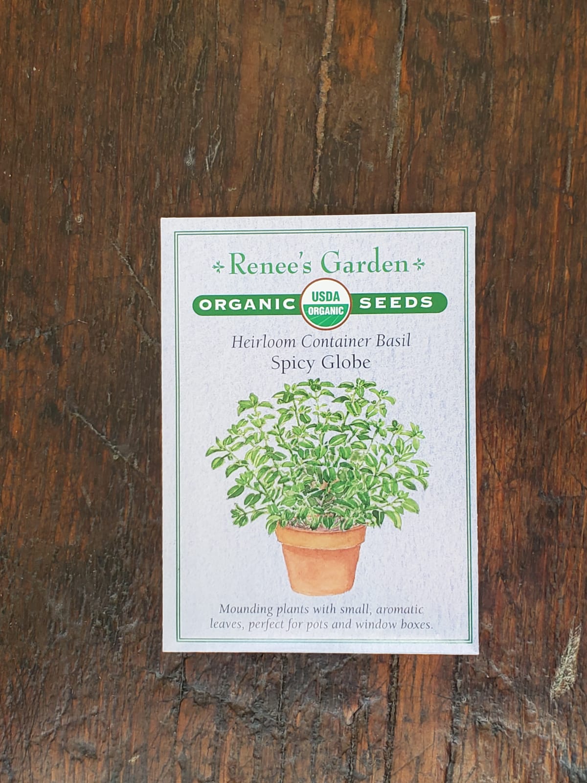 Basil Container Spicy Globe Organic Seed - Georgina Garden Centre