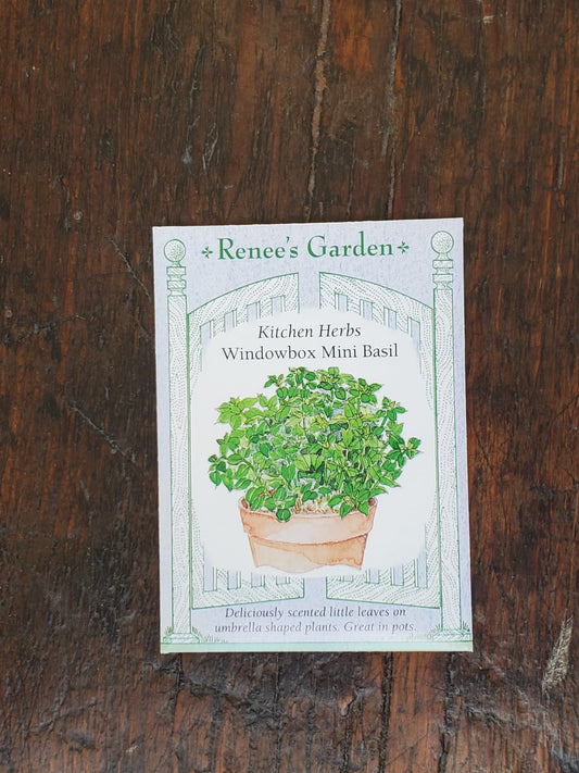 Basil Mini Windowbox Seed - Georgina Garden Centre