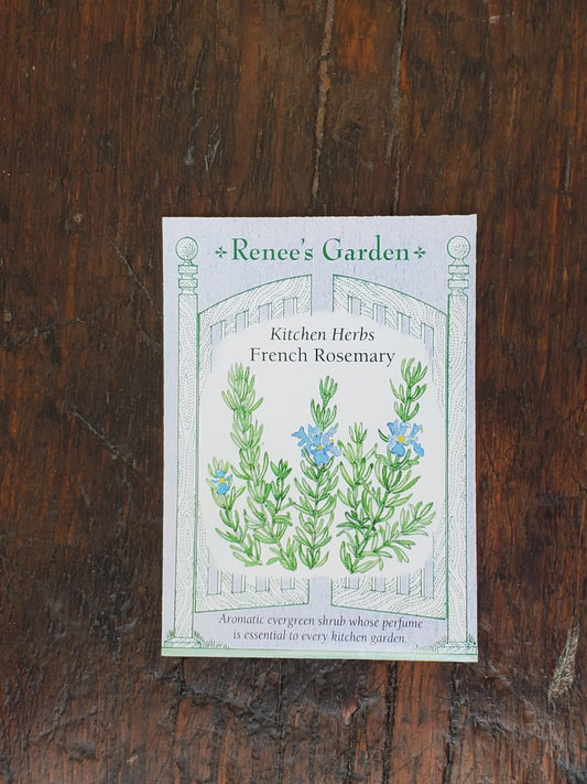 Rosemary French Culinary Seed