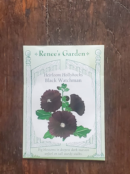 Hollyhocks Black Watchman Seed - Georgina Garden Centre