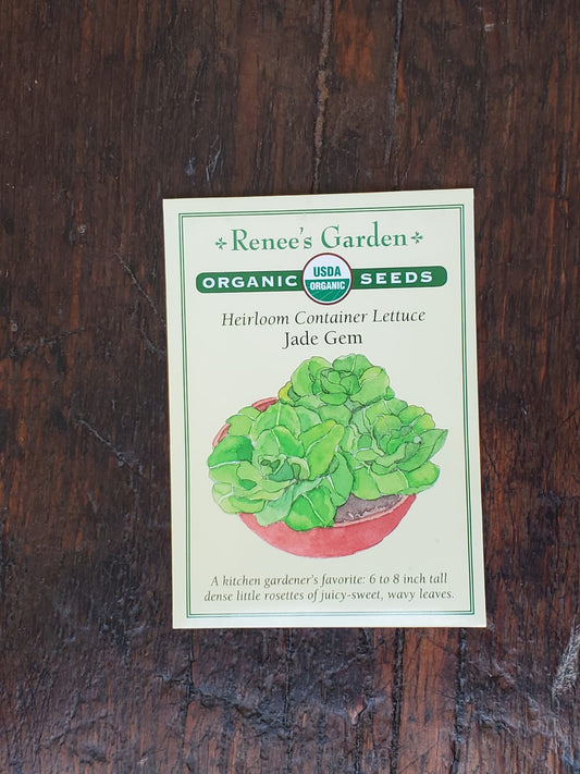 Lettuce Container Jade Gem Organic Seed