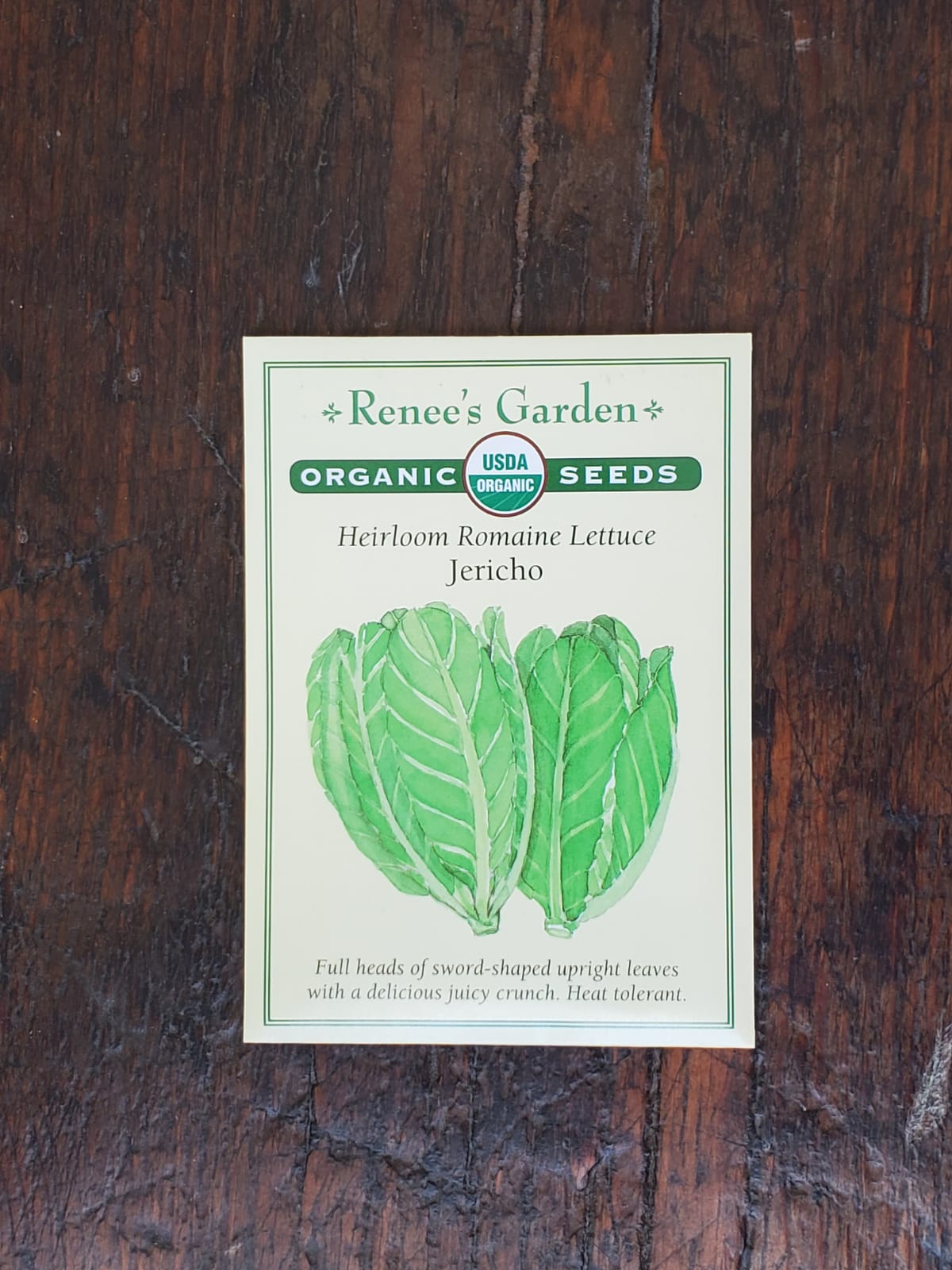 Lettuce Romaine Jericho Organic Seed