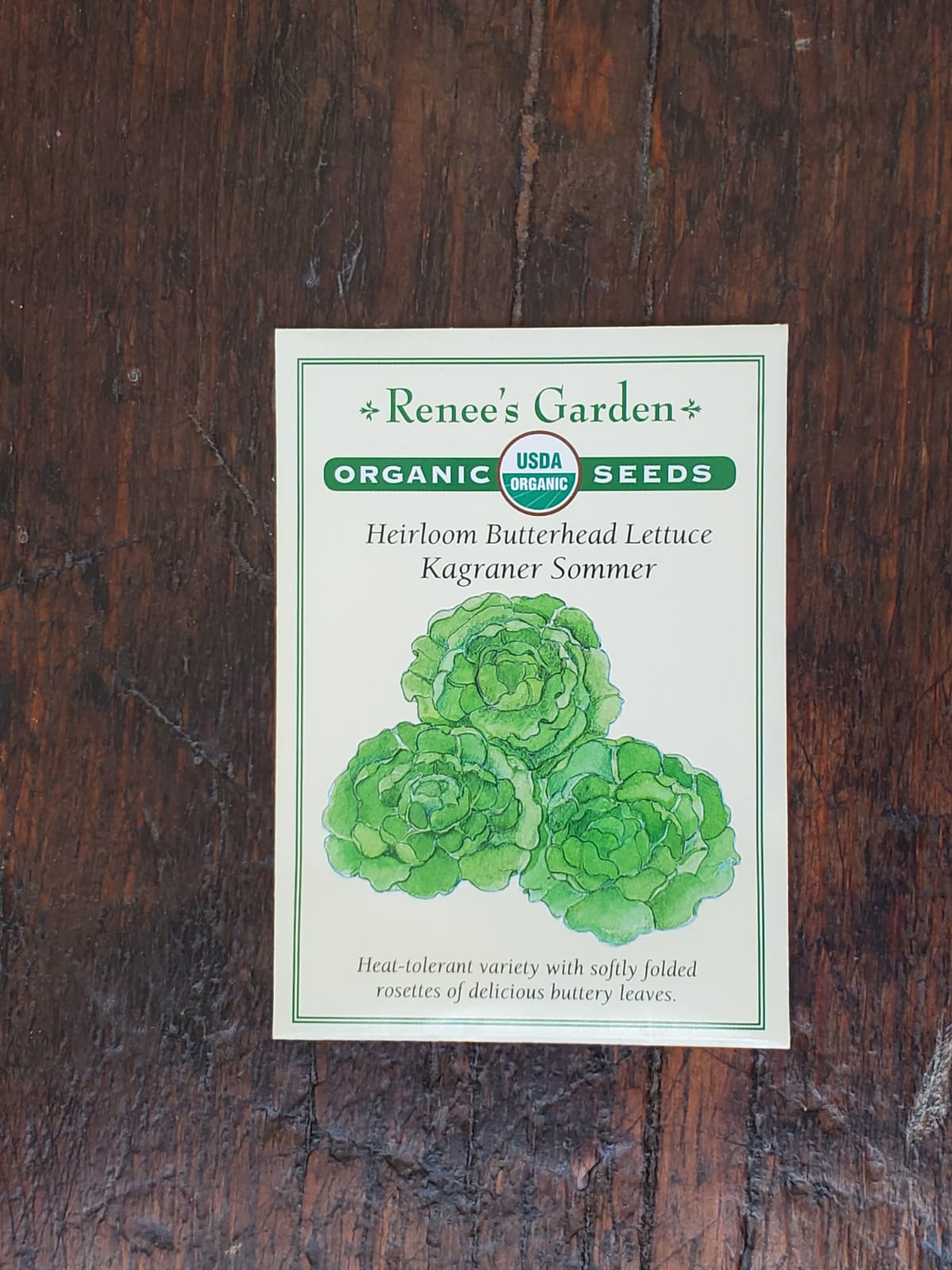 Lettuce Butterhead Kagraner Sommer Organic Seed - Georgina Garden Centre