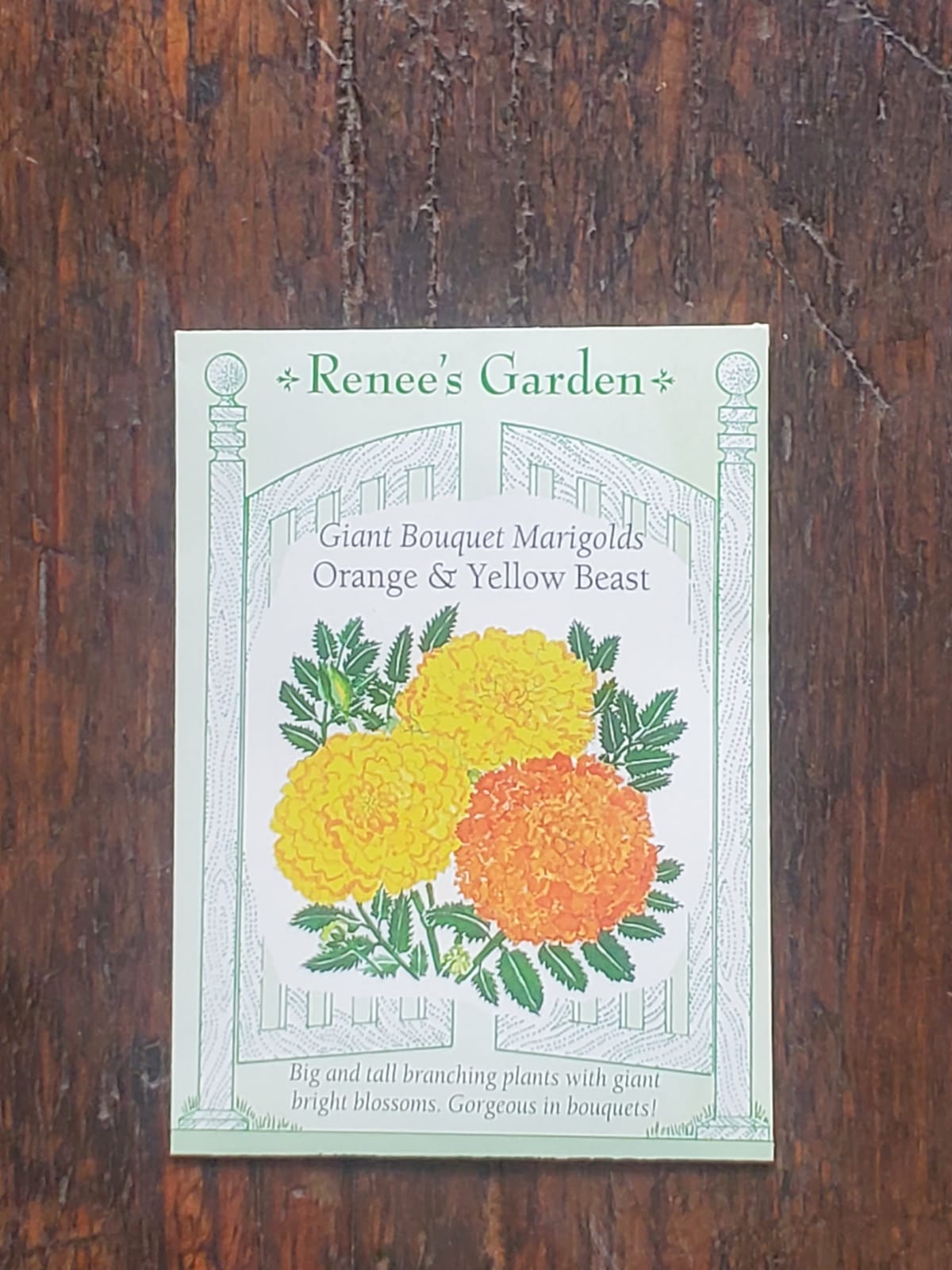 Marigolds Orange & Yellow Beast Seeds - Georgina Garden Centre