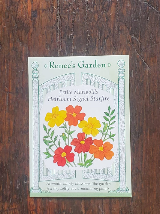 Marigolds Signet Starfire Seeds - Georgina Garden Centre