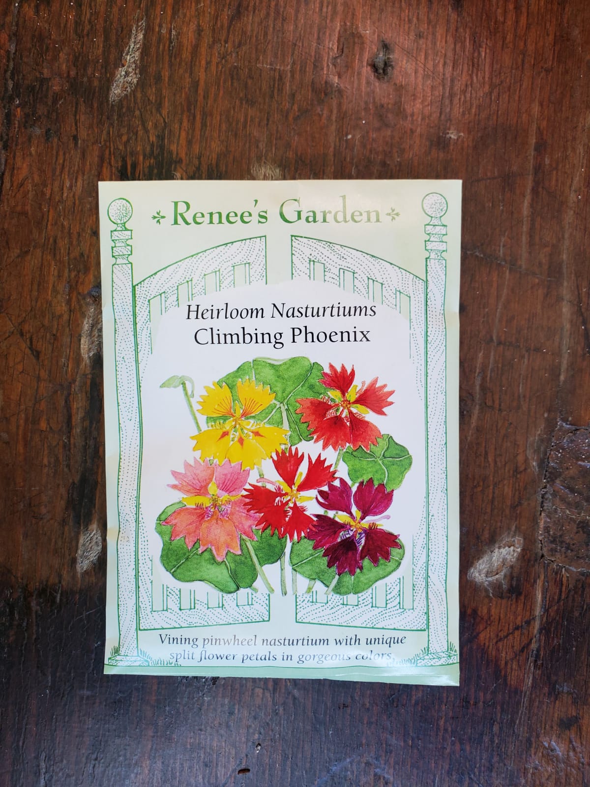 Nasturtiums Climbing Phoenix Seed - Georgina Garden Centre