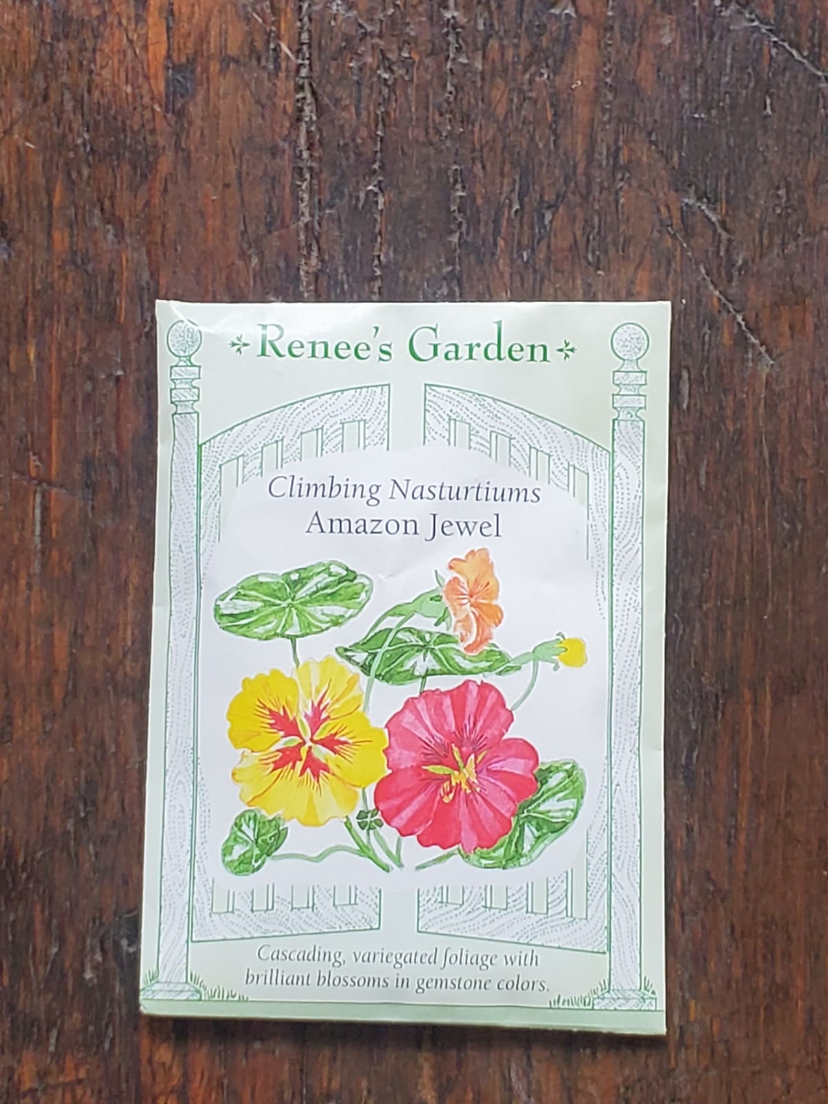 Nasturtiums Amazon Jewel Seed